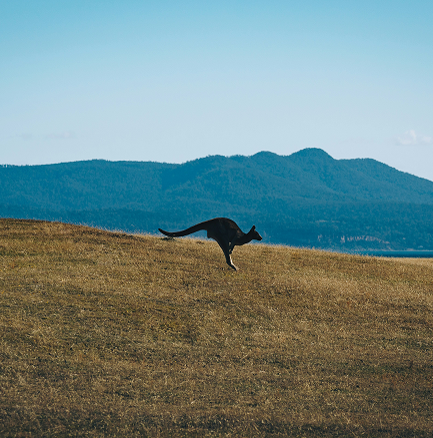 Lorem ipsum dolor sit amet, consectetur adipiscing elit. Sed convallis efficitur 3